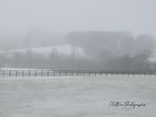 Single Fence