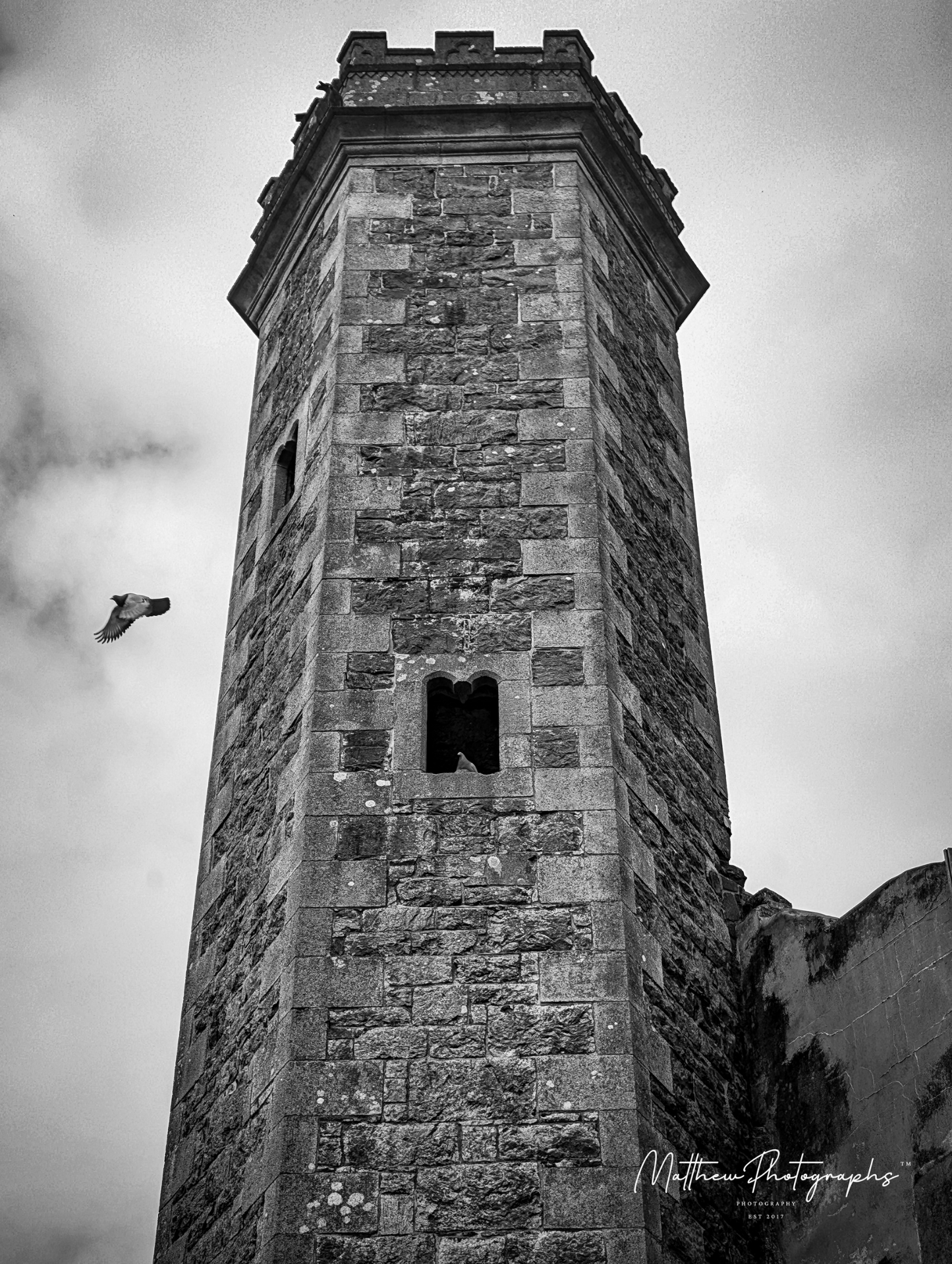 Pigeons & Towers